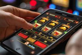 Discover the World of Online Betting with PitBet